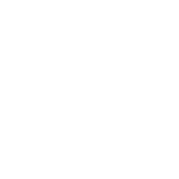 Post-Implementation Support